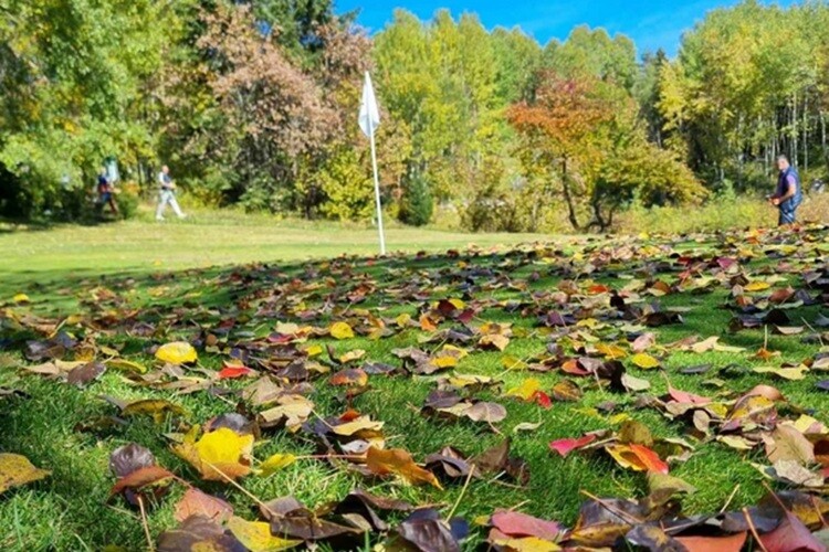 Golf-skola-small